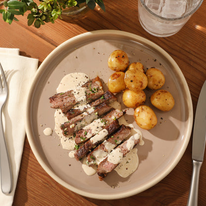 Gibson Elite - Made in Portugal - Port Gaia 10.2 Inch Dinner Plates Set of 4 - Reactive Glaze Dish Set