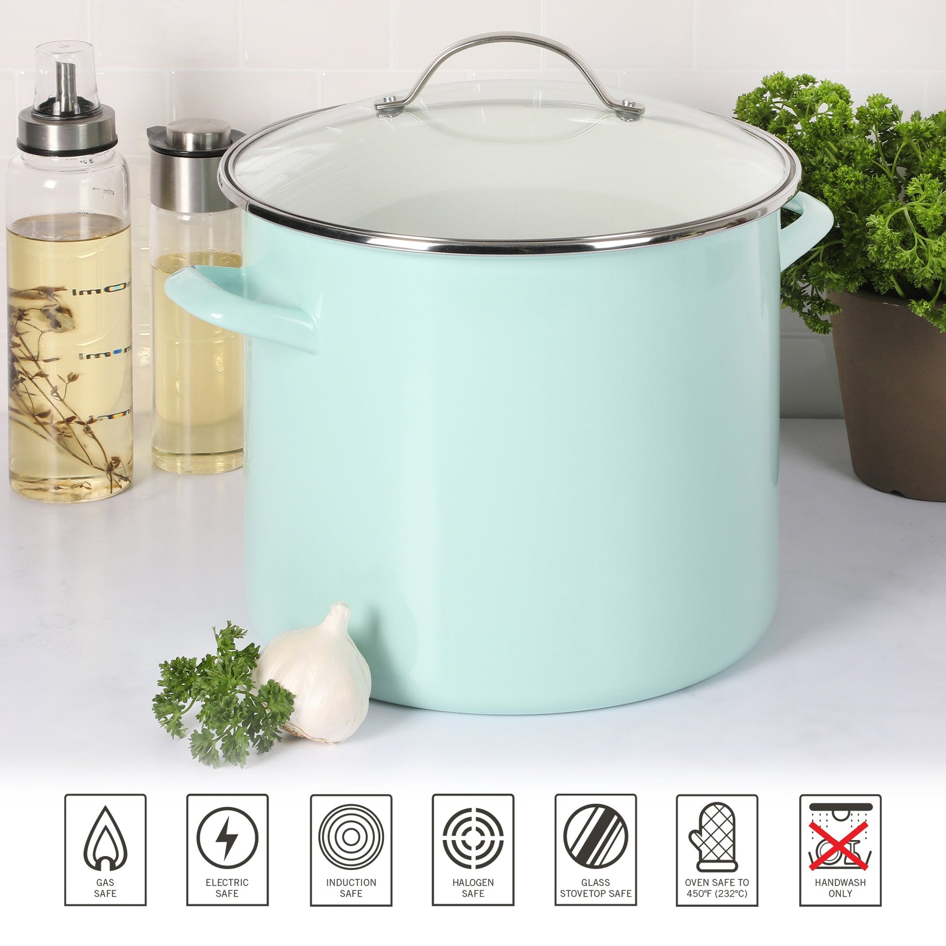 Martha Stewart Thayer Enamel on Steel 12-Quart Stock Pot w/ Glass Lid