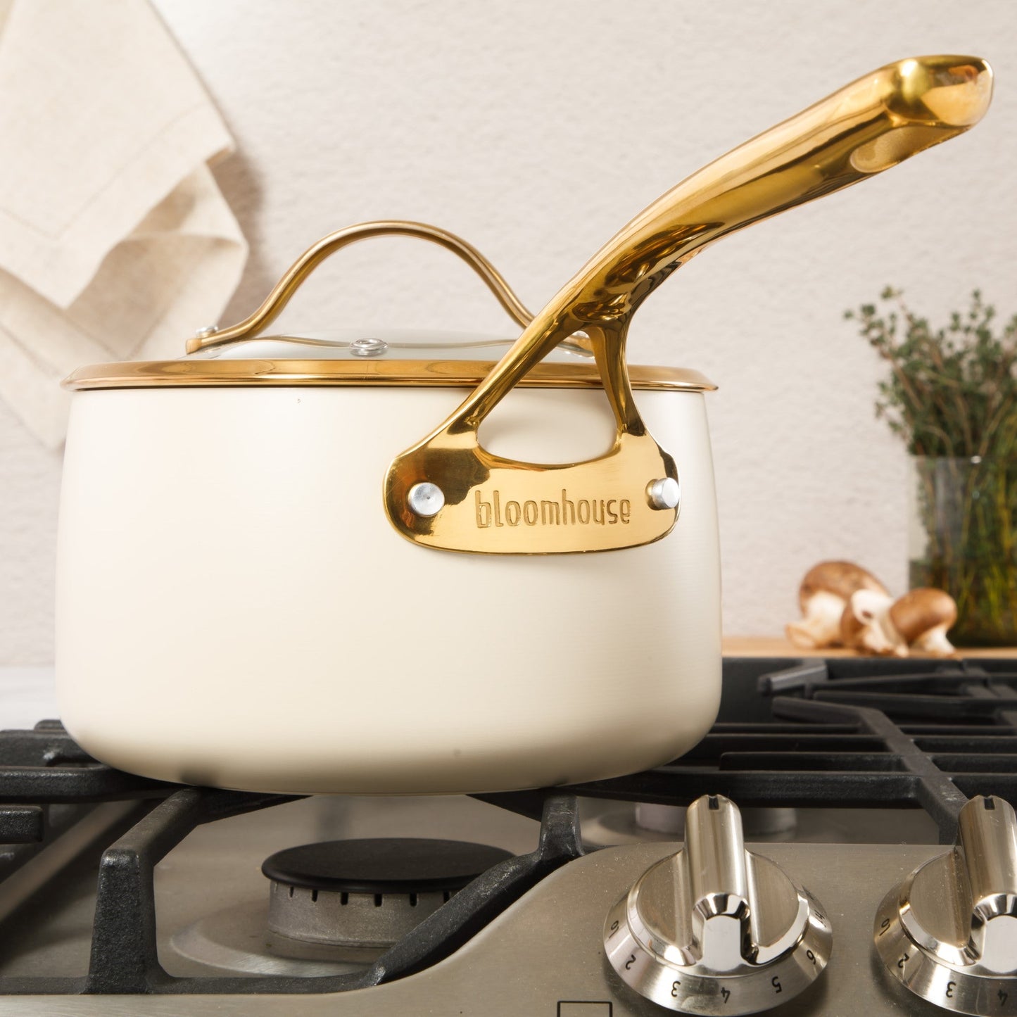 Bloomhouse 3 Quart Heavy Duty Aluminum Premium PFA Free Ceramic Nonstick Saucepan with Lid - Linen White with Gold Handle