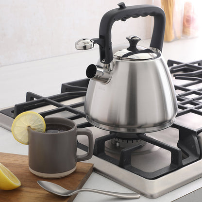 Mr. Coffee Armidale Large 2.5QT Brushed Stainless Steel Whistling Tea Kettle